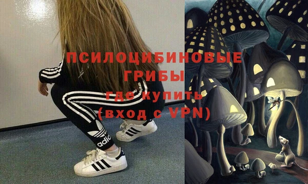 экстази Бородино