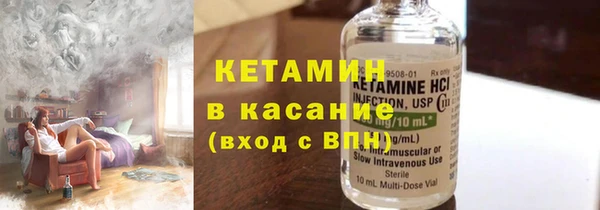 индика Богданович