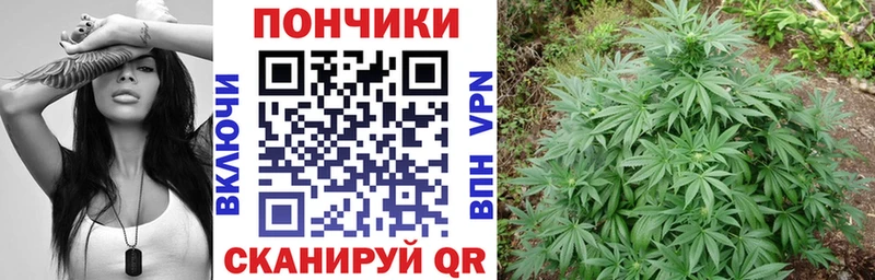 kraken   Кировск  Бошки марихуана план 